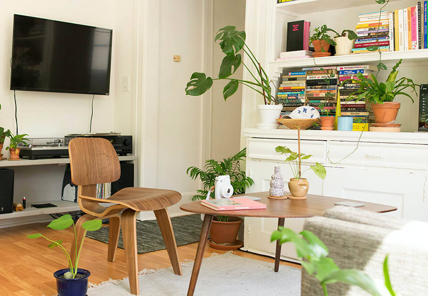 Living room with lots of plants